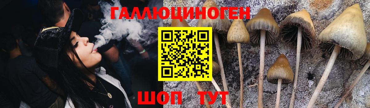Галлюциногенные грибы Cubensis Улан-Удэ