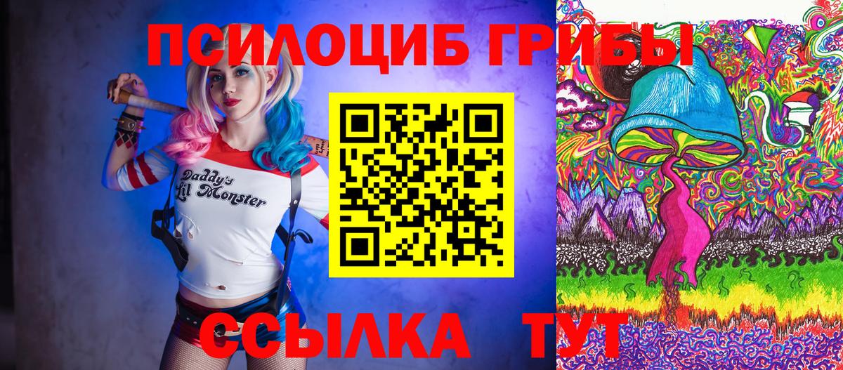 Улан-Удэ  Галлюциногенные грибы Cubensis  Вход с VPN  Галлюциногенные грибы прущие грибы 